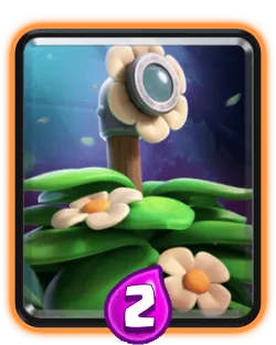 Suspicious Bush